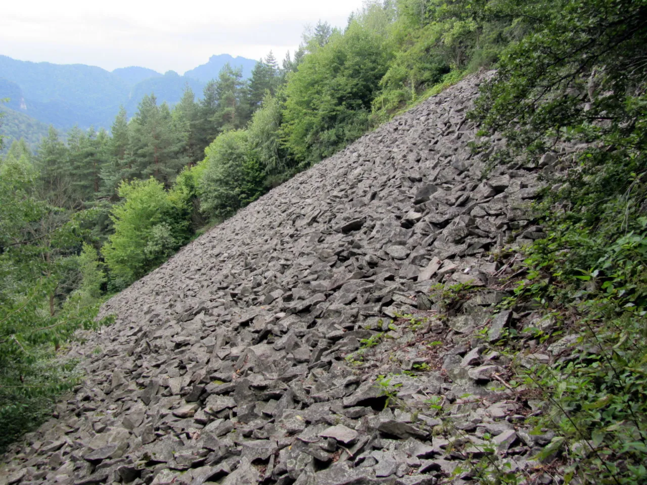 Kamieniste zbocze porośnięte drzewami, przypominające krajobraz po ustąpieniu lodowca, czyli co to klimat peryglacjalny.