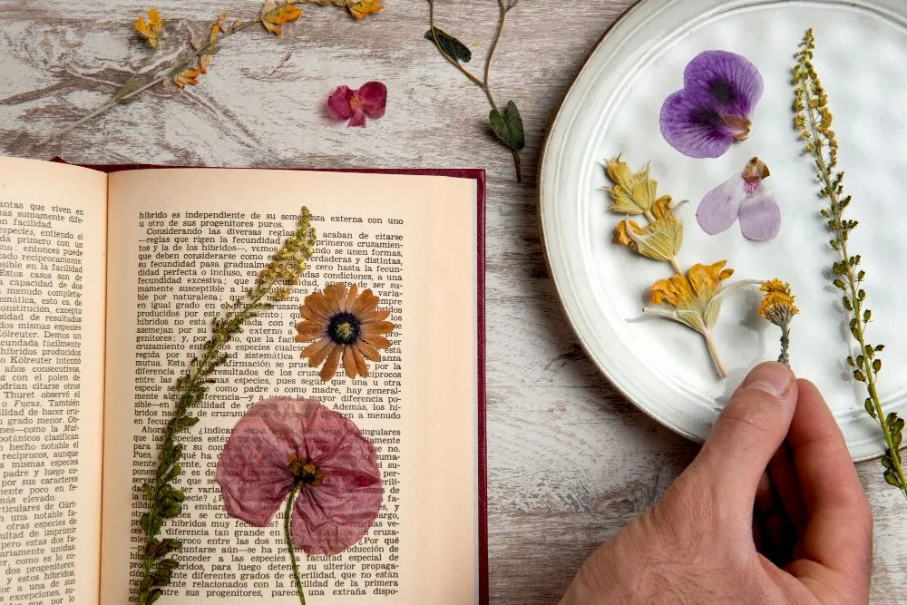 różne metody suszenia kwiatów, suszenie kwiatów w żelu krzemionkowym