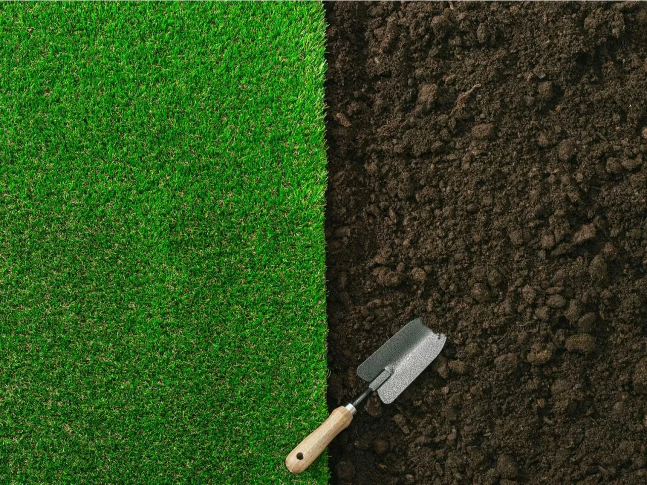 Gęsta, zielona trawa obok ciemnej ziemi, z małą łopatką. Idealne do obliczenia, ile trawy na metr kwadratowy potrzebujesz.