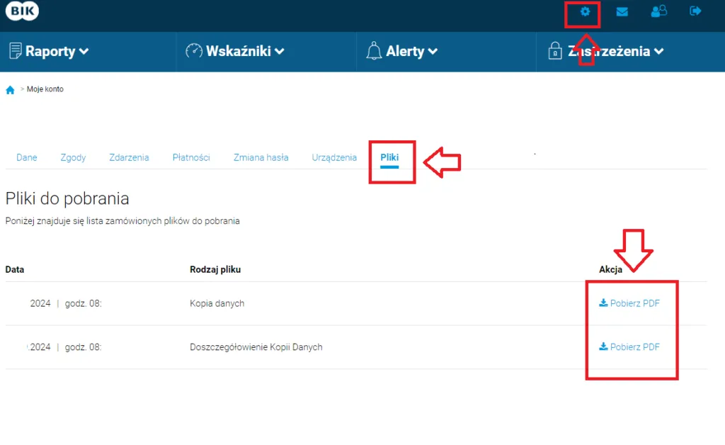 proces uzyskiwania raportu BIK