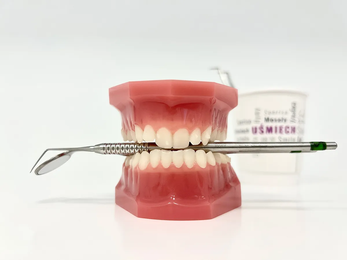 schemat połączenia jamy ustnej z organizmem