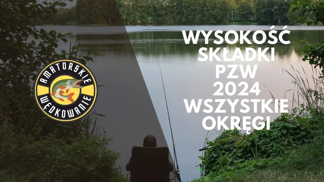 Wysokość składek PZW 2024. Dowiedz się, jak wykupić pozwolenie na połów ryb przez internet, by cieszyć się wędkarstwem.