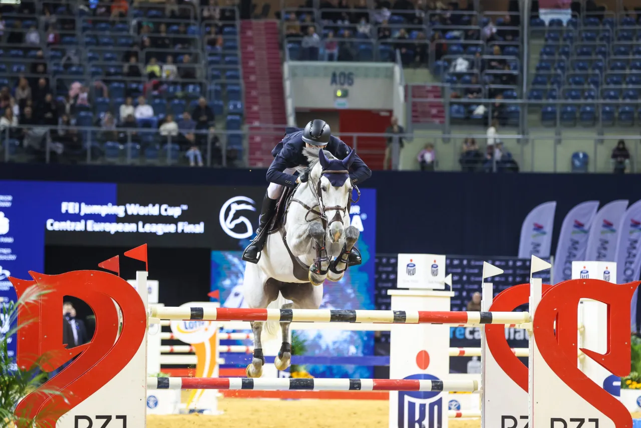 Regulamin PZJ jeździectwo