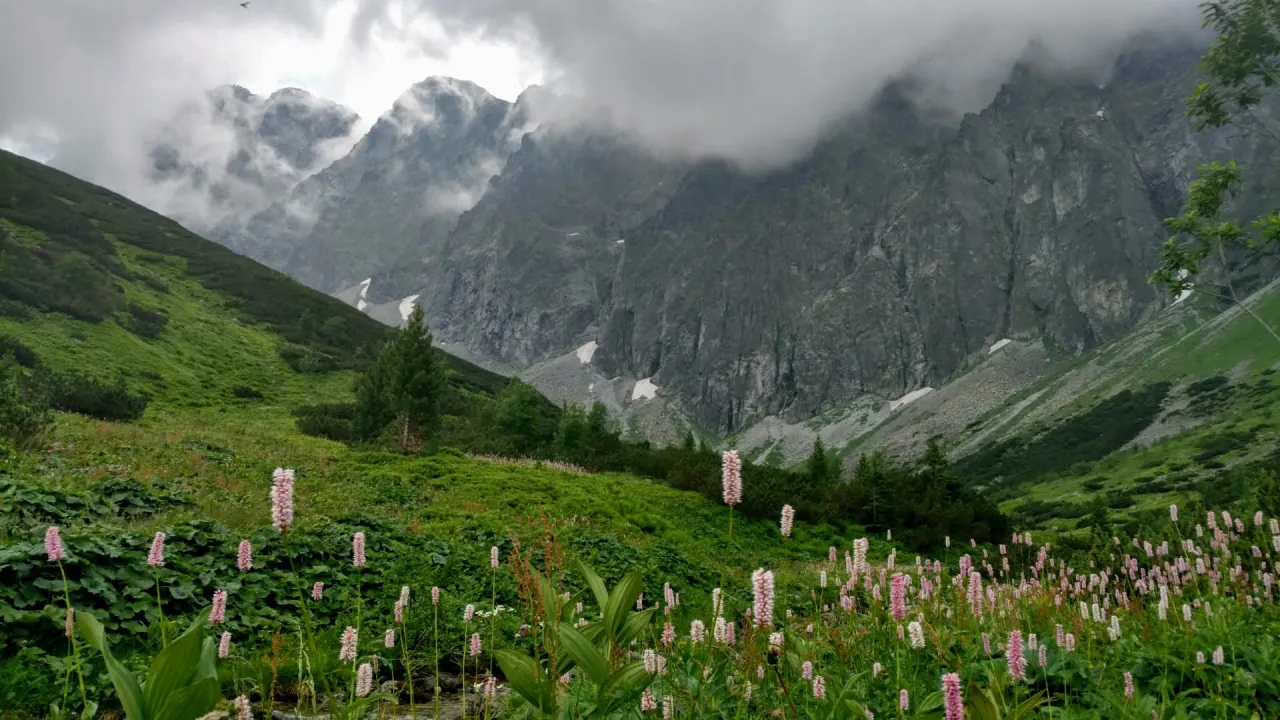 Sarnia Skała widok na Giewont