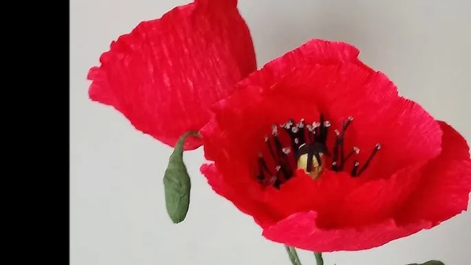 realistyczny mak z krepiny rękodzieło zbliżenie