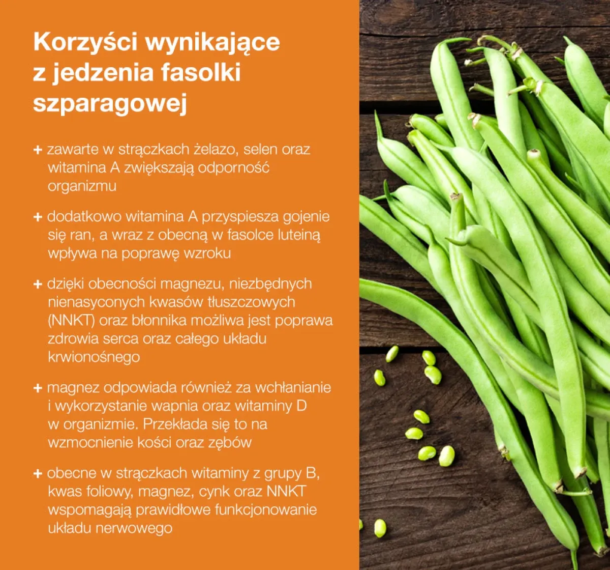 fasolka szparagowa wartości odżywcze infografika