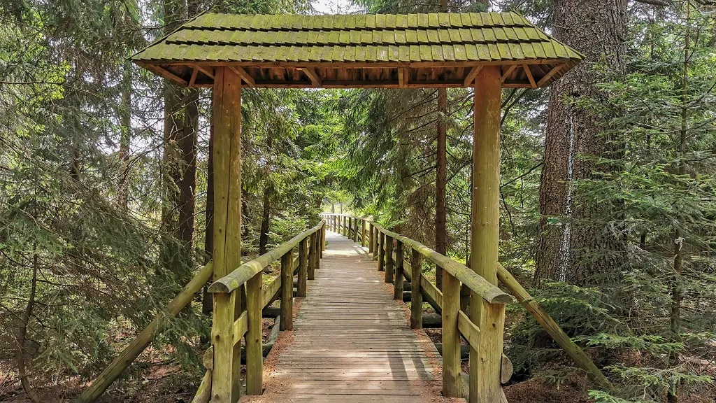 Torfowisko pod Zieleńcem kładki