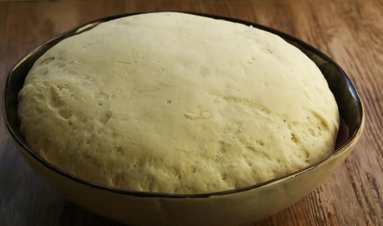 ciasto na pizzę wyrastające w misce