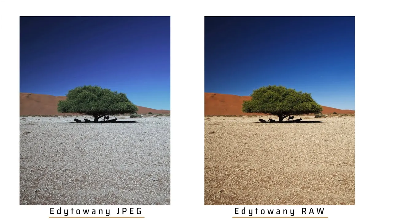 przykłady formatów zdjęć raw tiff jpg