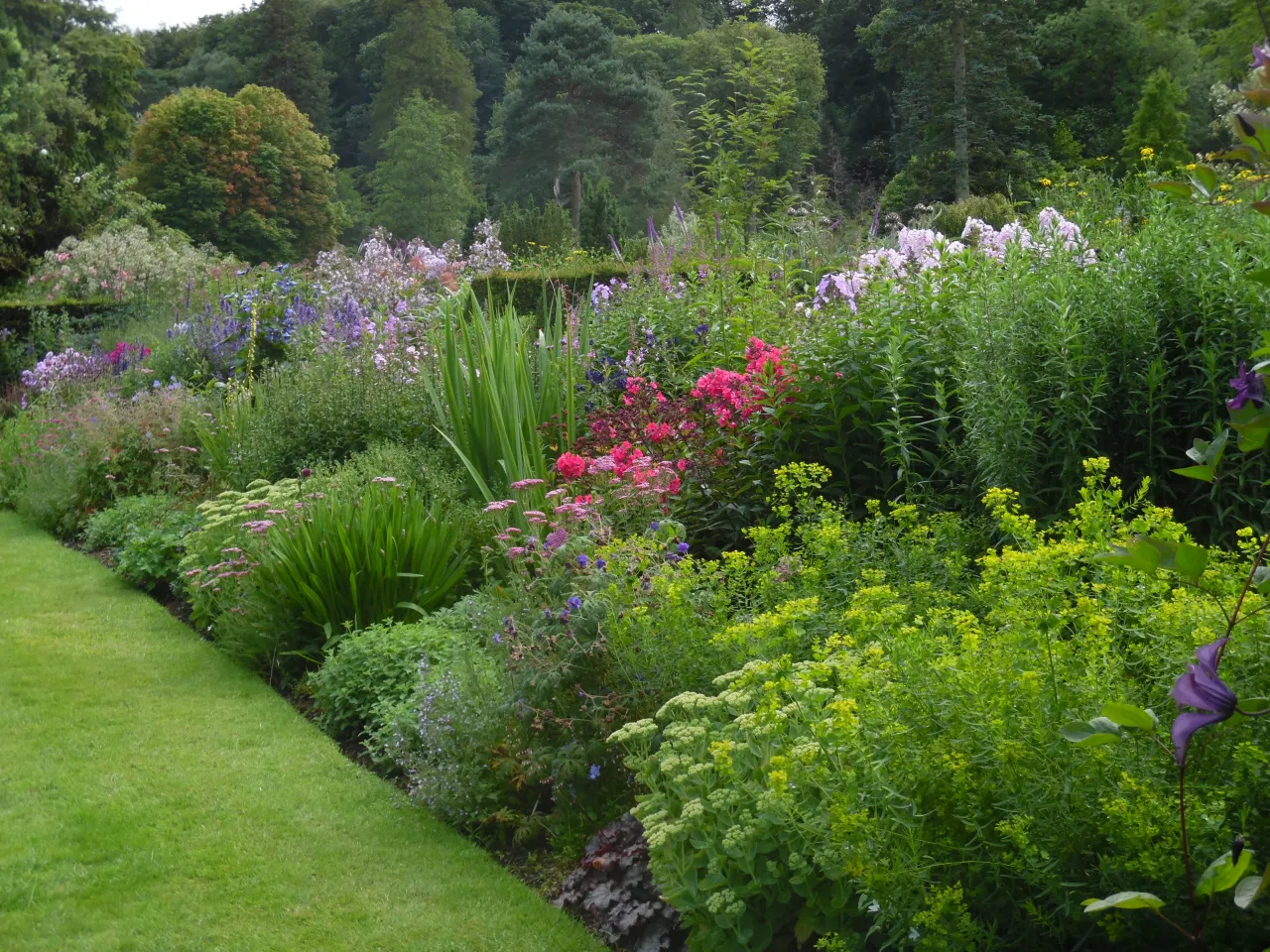Zdrowy, gęsty trawnik z korą na rabatach