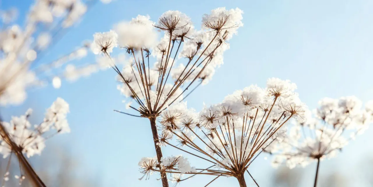 Polskie przysłowia pogodowe ilustracje