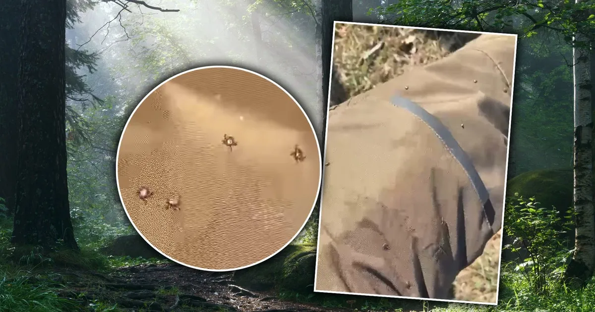 Osoba w długich spodniach i rękawach w lesie, używająca repelentu na kleszcze