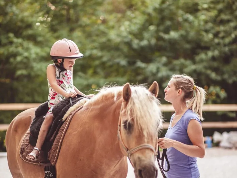 Wykres zarobk&oacute;w instruktora jeździectwa Polska