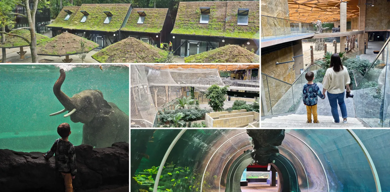 Orientarium Ł&oacute;dź tunel podwodny rekiny