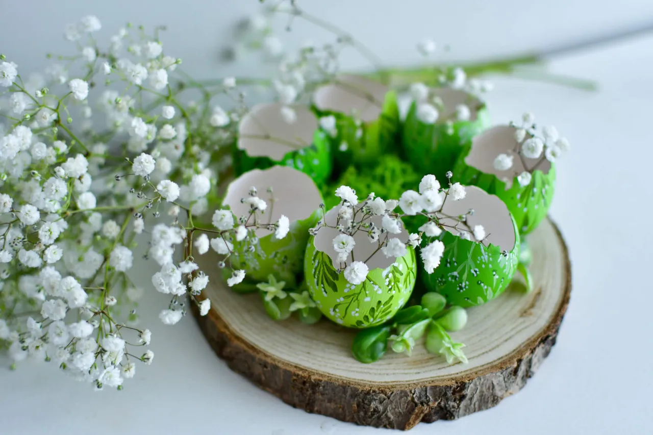 Zielone, malowane skorupki jajek z gipsówką i listkami, ułożone na plastrze drewna. Inspiracja, jak zrobić stroik wielkanocny.