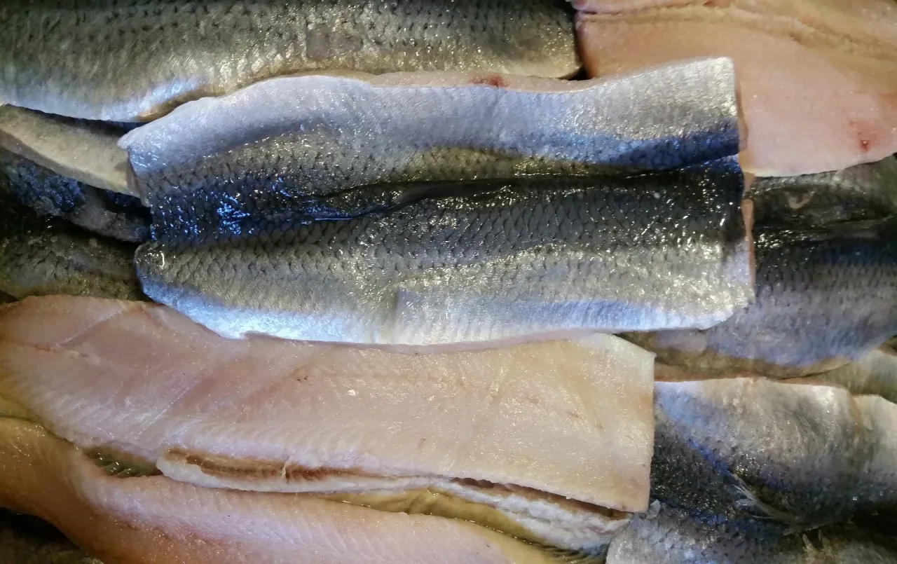 Świeże filety rybne, gotowe na pyszny obiad. Zastanawiasz się, jaka ryba na obiad? Te wyglądają apetycznie!