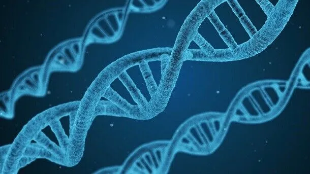 Zdjęcie Ile kosztują badania DNA na ojcostwo? Zrozum różnice i oszczędź.