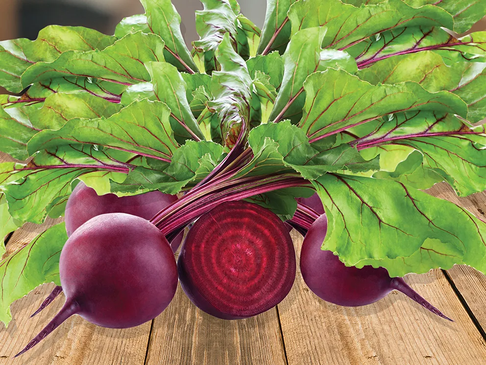 jak wygląda świeża botwinka