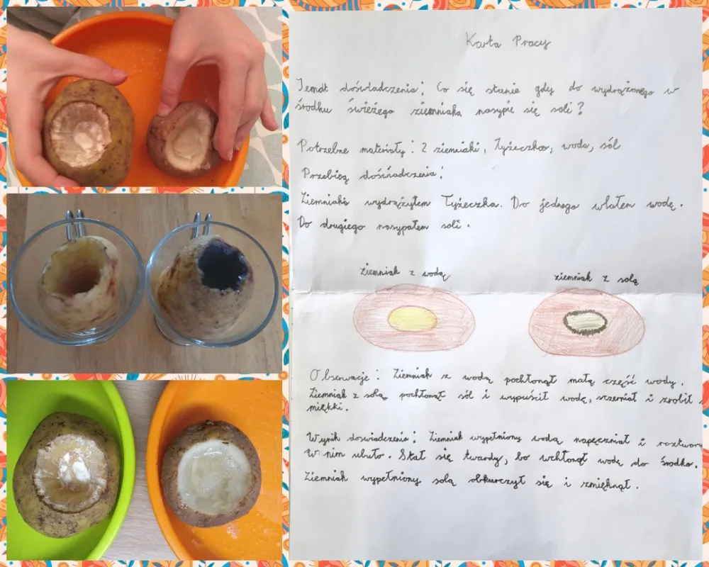 materiały do eksperymentu z ziemniakiem i solą