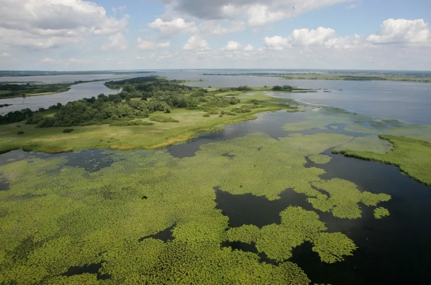 Jezioro Dąbie widok z lotu ptaka