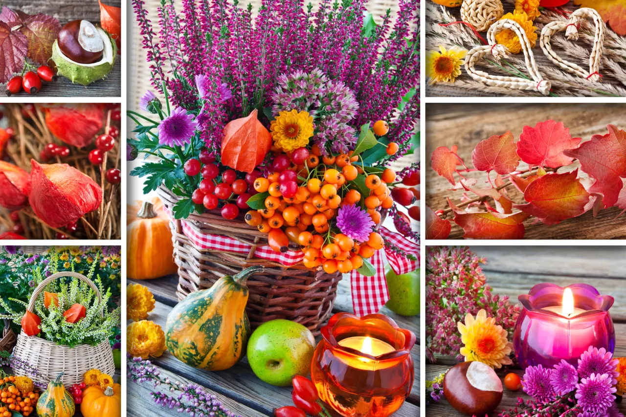 jesienne dary natury do dekoracji