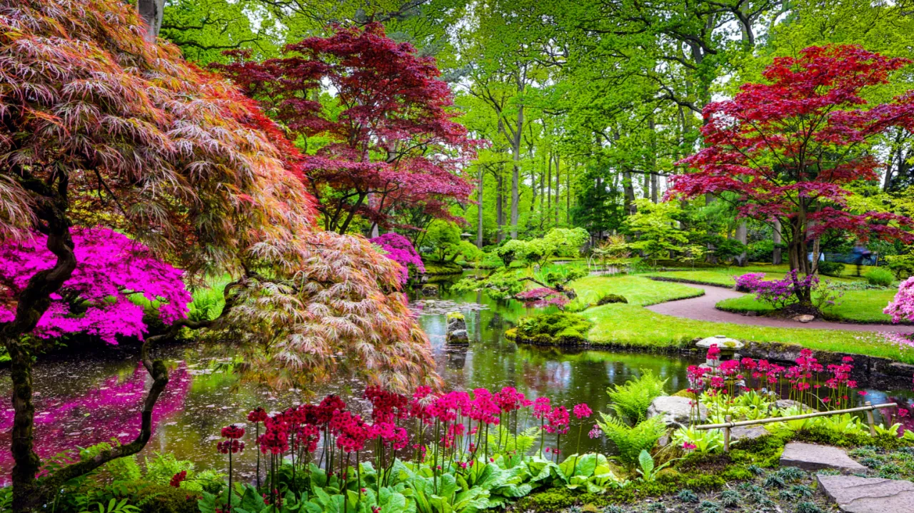 Rośliny do ogrodu frontowego całoroczne