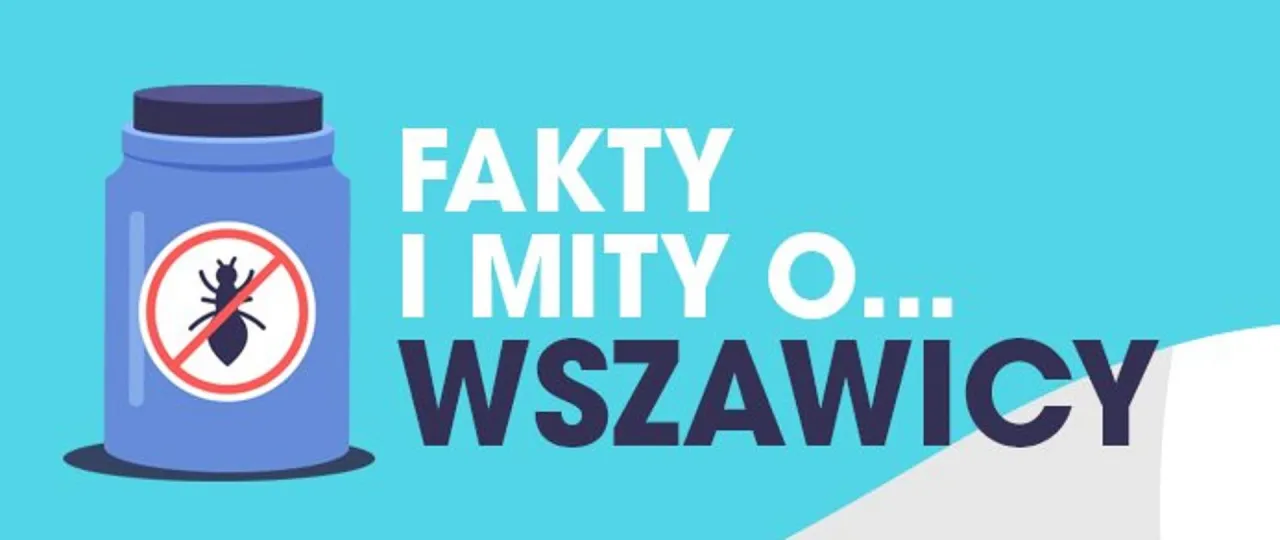 wszawica fakty mity infografika