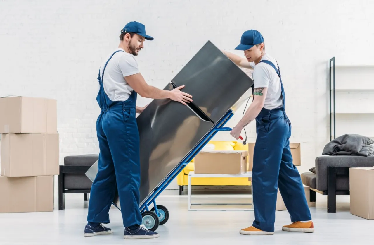 transport lodówki pionowo i poziomo porównanie