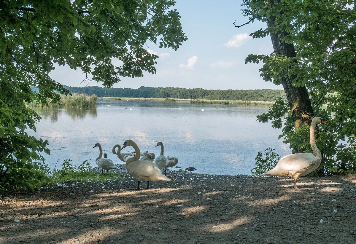 Rezerwat Łężczok widok z lotu ptaka