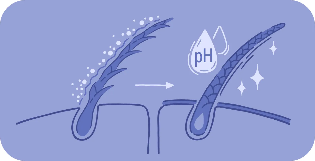 Ocet jabłkowy na włosy, struktura włosa mikroskop