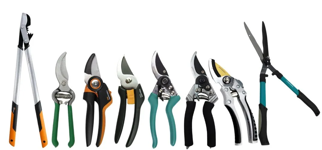 Rodzaje sekator&oacute;w do ogrodu