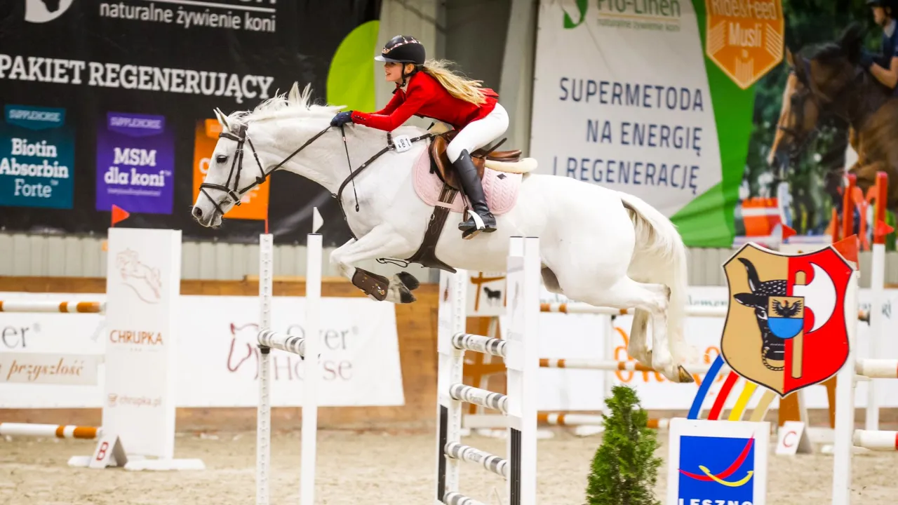 definicja amazonka jeździectwo