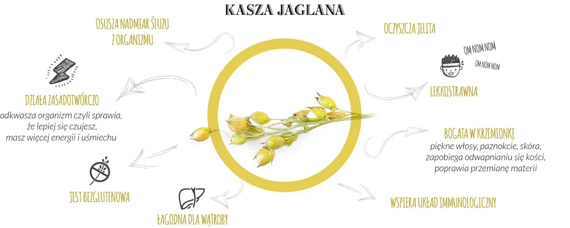 mąka jaglana właściwości odżywcze infografika