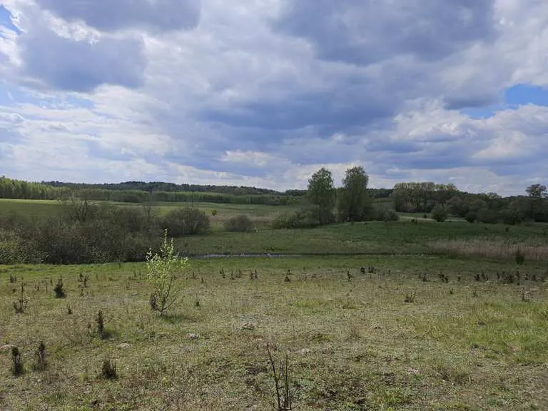 Zdjęcie Najlepsze atrakcje w Drawsku Pomorskim – odkryj ukryte skarby