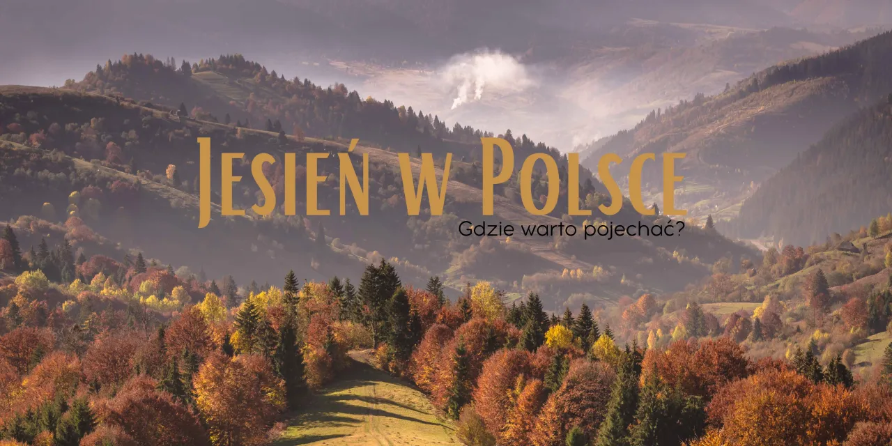 Zdjęcie Dlaczego jesień maluje świat na złoto? Odkryj tajemnice kolorów natury