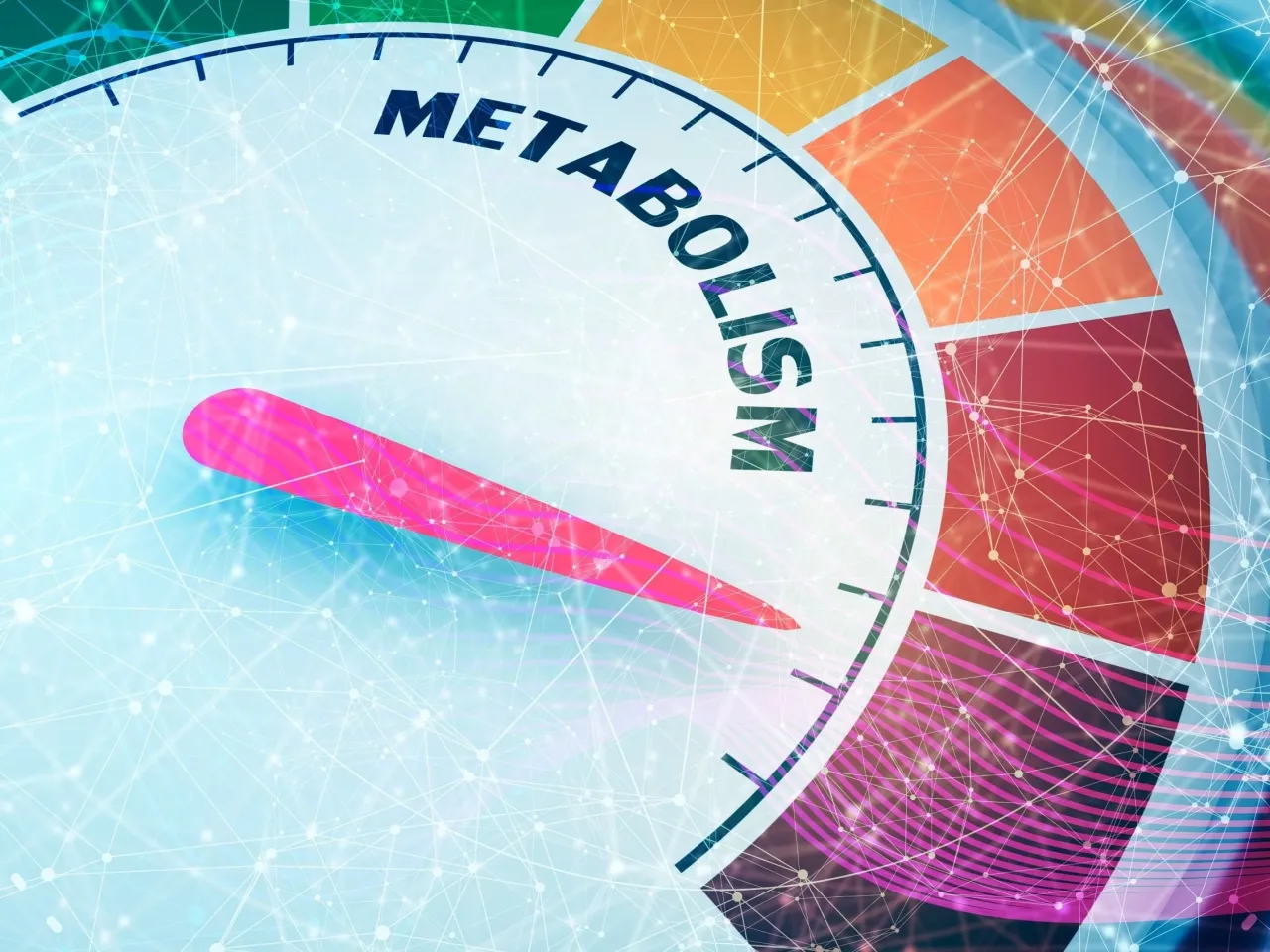 Zdjęcie Zaburzenia metaboliczne objawy: Jak je rozpoznać i co oznaczają?