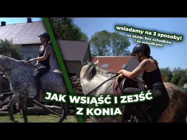 Zdjęcie Jak wsiąść na konia: proste kroki, które zapewnią bezpieczeństwo