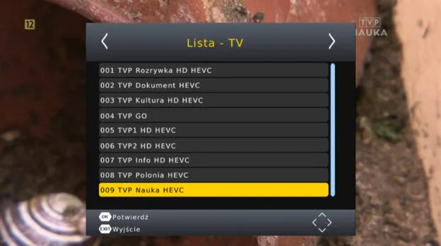Zdjęcie Jak włączyć TVP GO na telewizorze i uniknąć problemów z ustawieniami