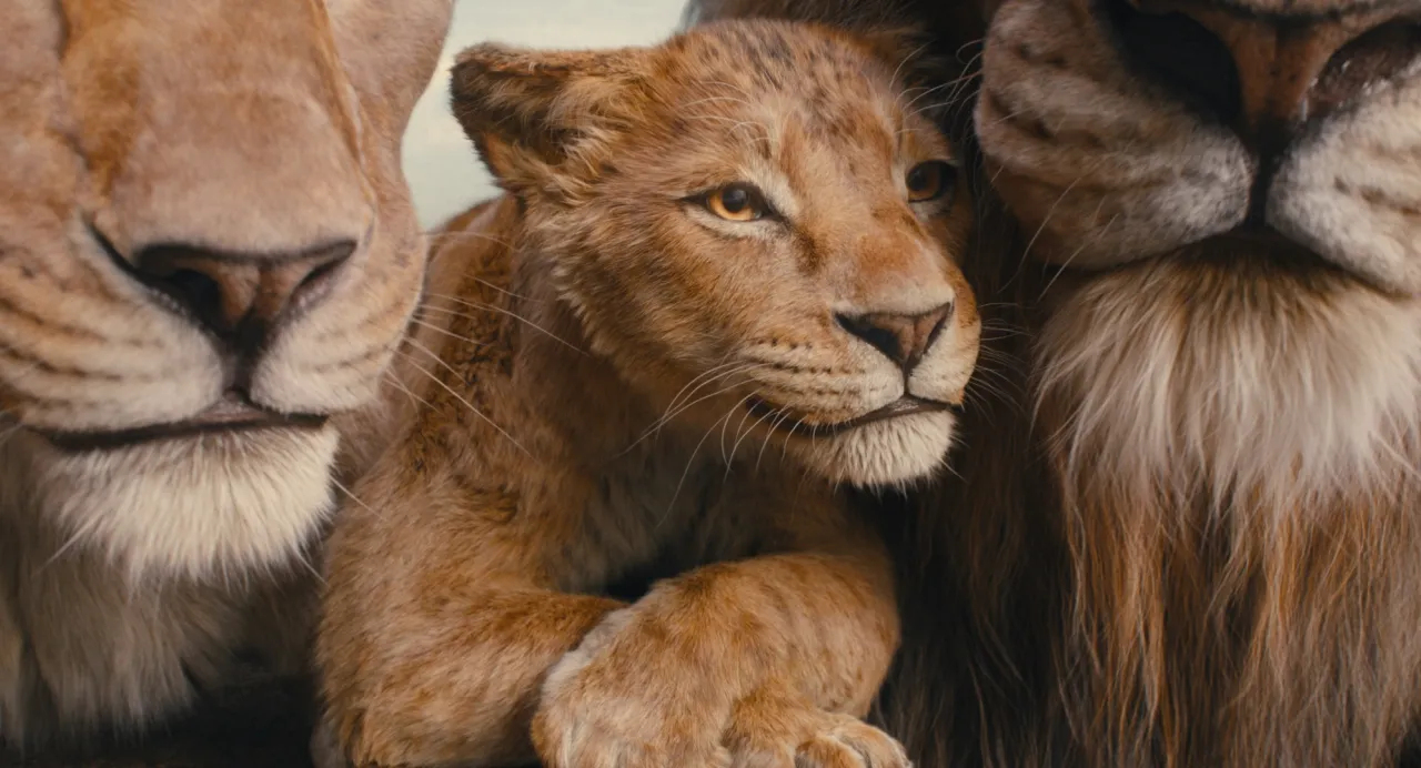 Zdjęcie Mufasa: Król Lew - opinie ekspertów o nowym filmie Disneya i jego fabule