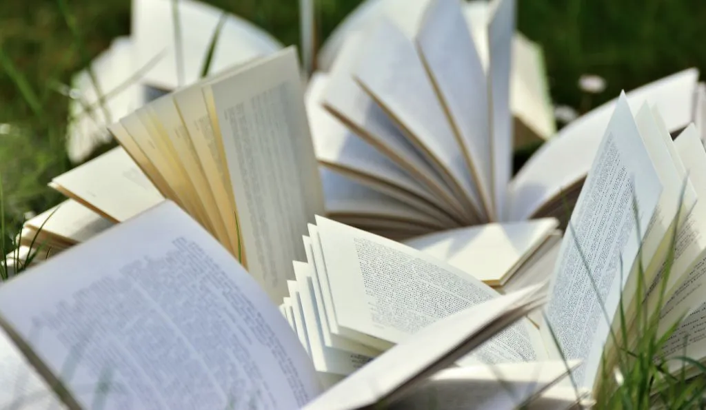 Zdjęcie Czy literatura uczy człowieka jak żyć? Odkryj ukryte lekcje życia