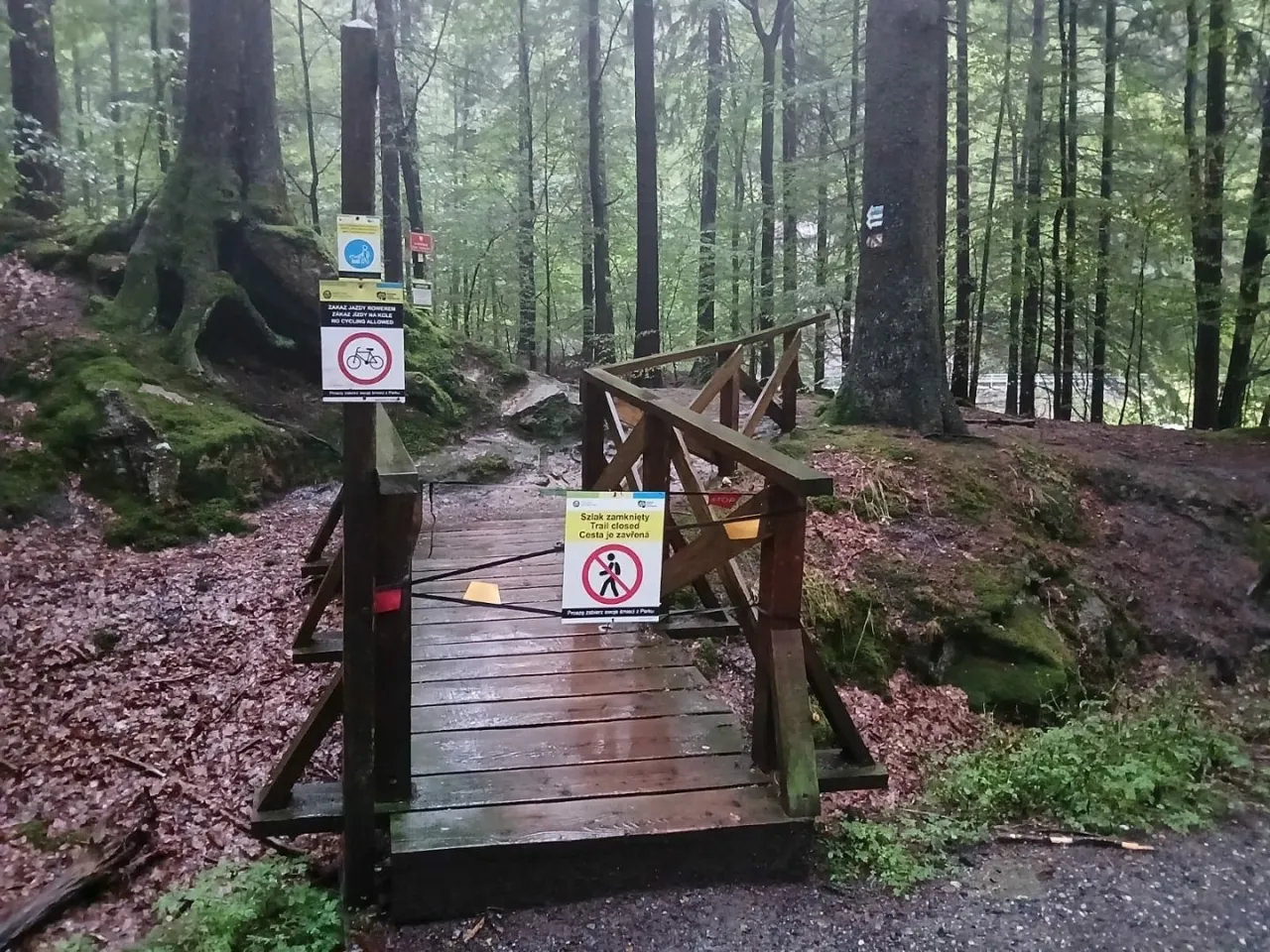 Zdjęcie Czy szlaki w Karkonoszach są zamknięte? Sprawdź aktualny status!
