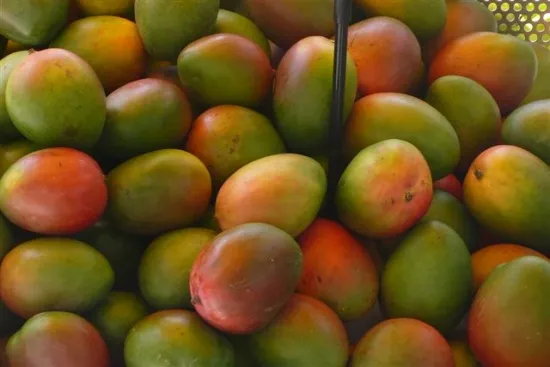 Zdjęcie Kiedy jest sezon na mango? Sprawdź, kiedy są najsmaczniejsze!