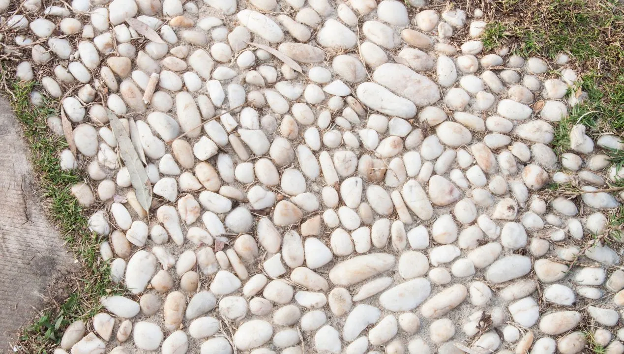 Zdjęcie Skuteczne sposoby na to, jak wyczyścić białe kamyczki w ogrodzie