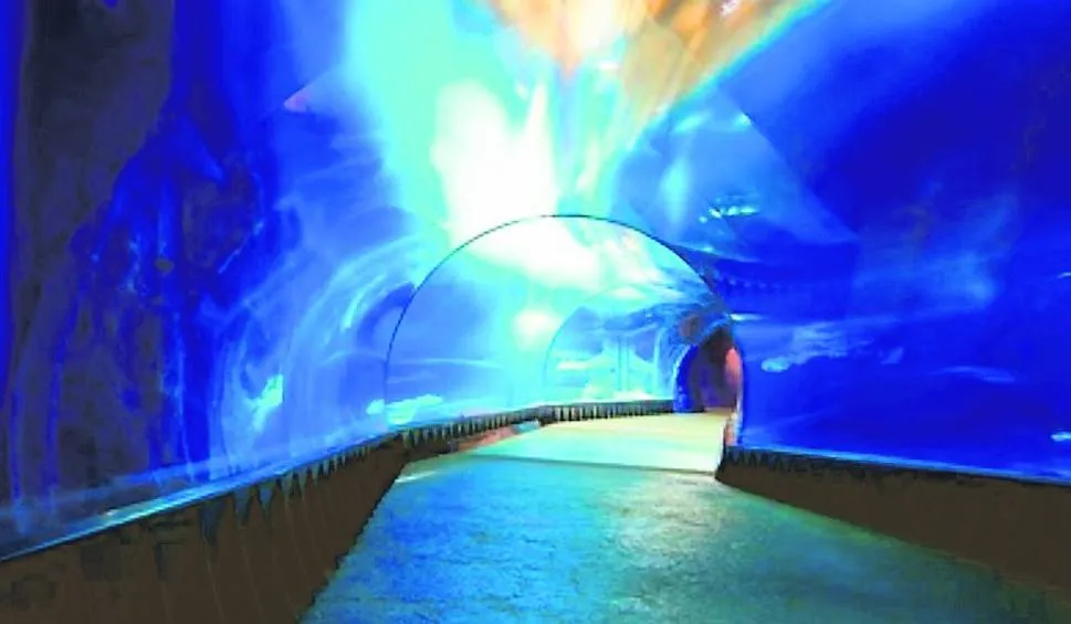 Zdjęcie Oceanarium Kołobrzeg opinie: co warto wiedzieć przed wizytą?