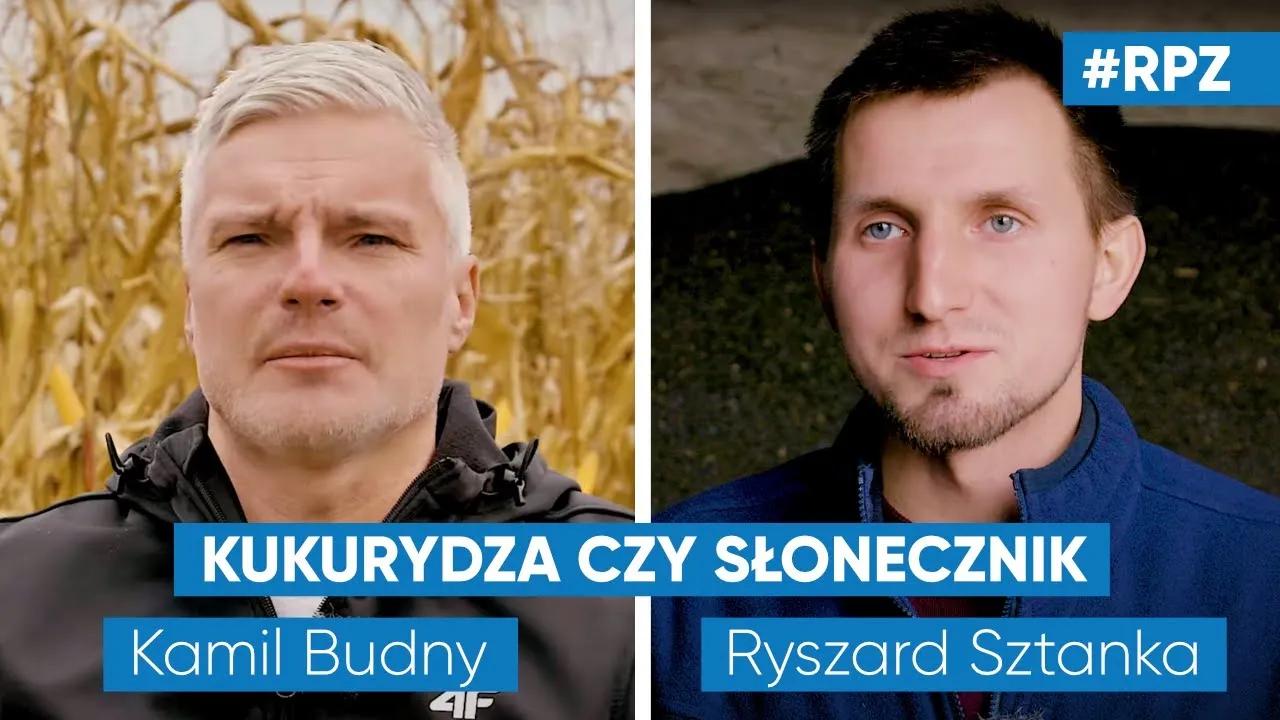 Zdjęcie Levels: opinie widzów - co zachwyca, a co rozczarowuje?