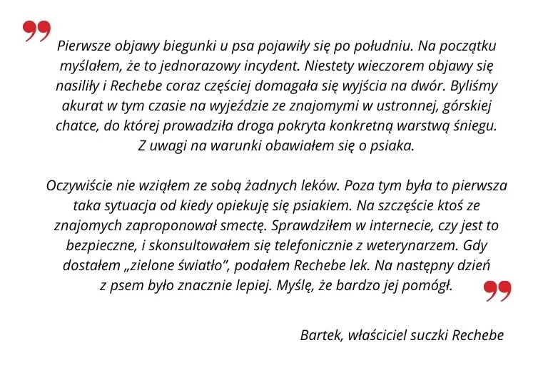 Zdjęcie Jak bezpiecznie podawać Smectę psu? Dawkowanie, skutki uboczne i porady weterynaryjne