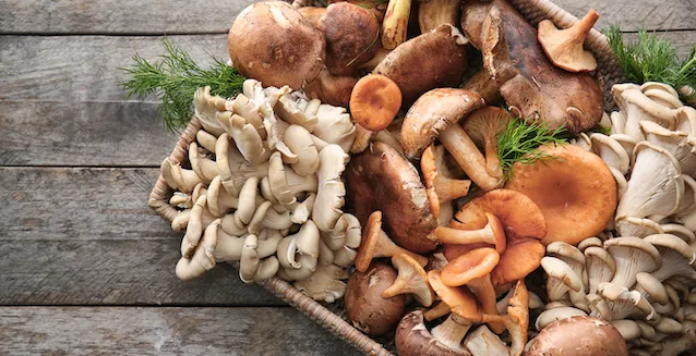 Zdjęcie Die besten Gewürze, die perfekt zu Champignons passen