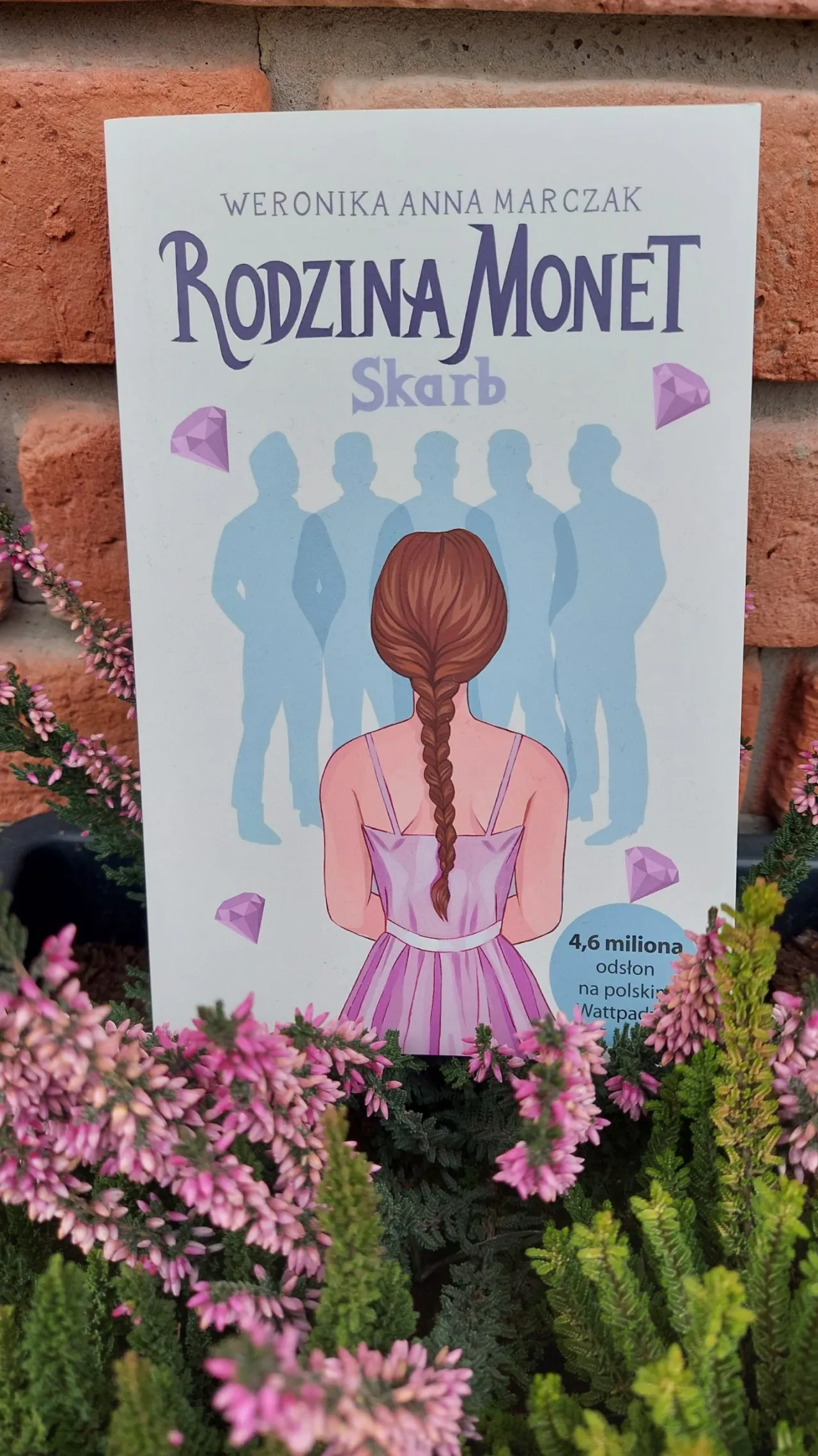 Zdjęcie Książka Rodzina Monet o czym jest streszczenie, wątki i tematyka powieści