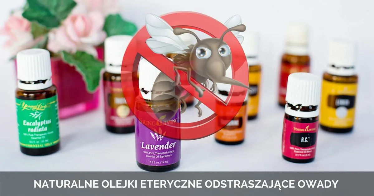 Zdjęcie Naturalne olejki na muchy: Skuteczne i bezpieczne sposoby
