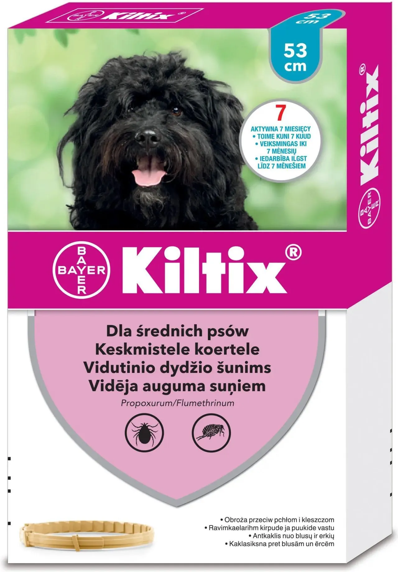 Zdjęcie Obroża na kleszcze Foresto czy Kiltix - która lepiej chroni psa?